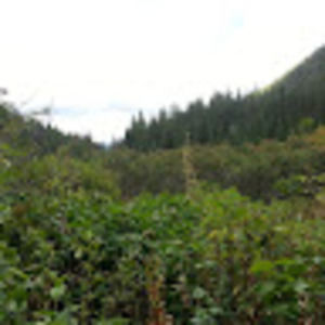 Meet your Posher, Sabrina